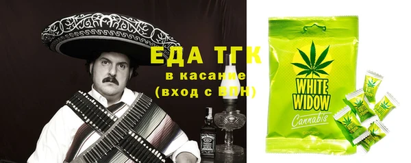 дмт Ельня