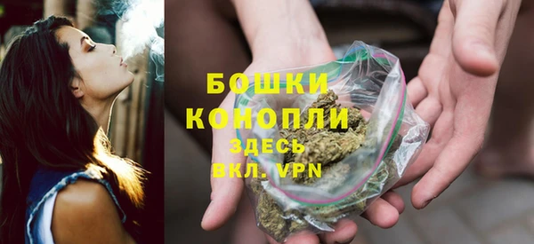 дмт Ельня
