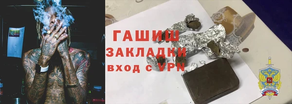 дмт Ельня