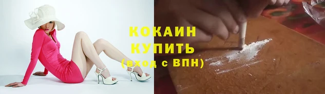 mdpv Елизово