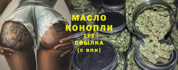 дмт Ельня