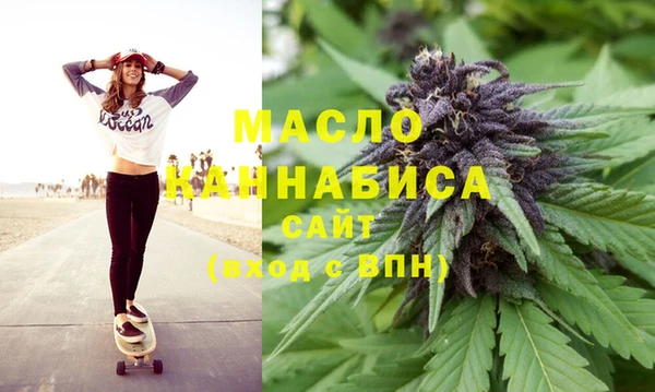 дмт Ельня