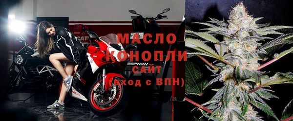 дмт Ельня