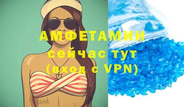дмт Ельня