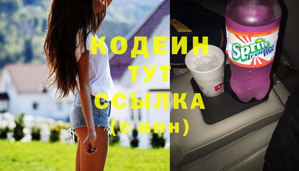 дмт Ельня