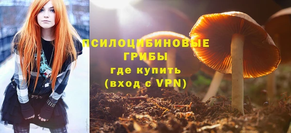 mdpv Елизово