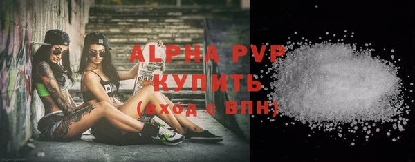 дмт Ельня