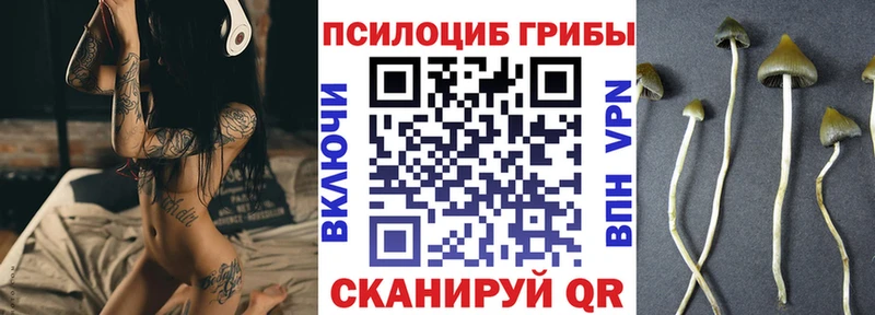 Псилоцибиновые грибы прущие грибы  Купить  Реутов 