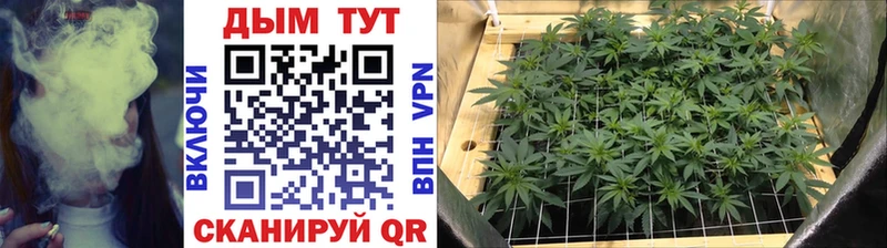 Купить закладки  Реутов  Шишки марихуана THC 21% 